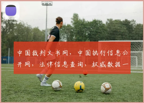 中国裁判文书网，中国执行信息公开网，法律信息查询，权威数据一网打尽