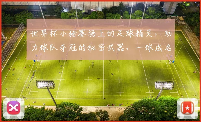 世界杯小猪赛场上的足球精灵，助力球队夺冠的秘密武器，一球成名
