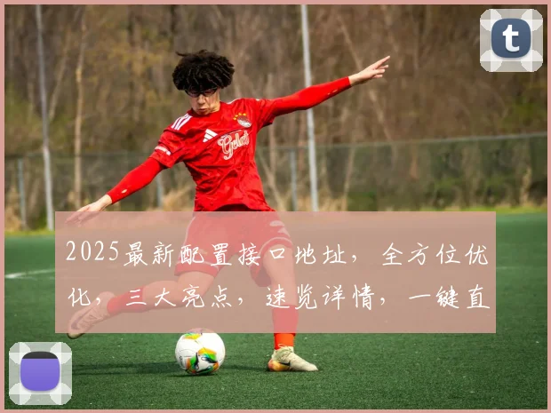 2025最新配置接口地址，全方位优化，三大亮点，速览详情，一键直达