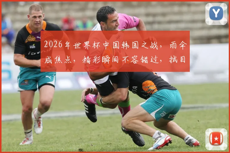 2026年世界杯中国韩国之战，雨伞成焦点，精彩瞬间不容错过，拭目以待