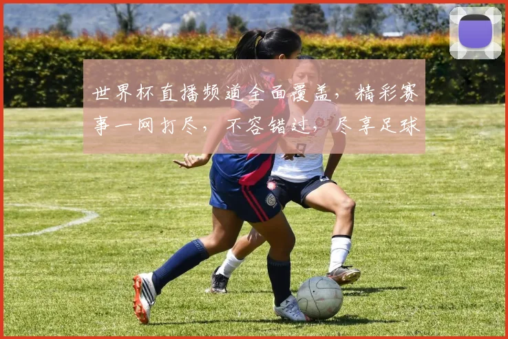世界杯直播频道全面覆盖，精彩赛事一网打尽，不容错过，尽享足球盛宴