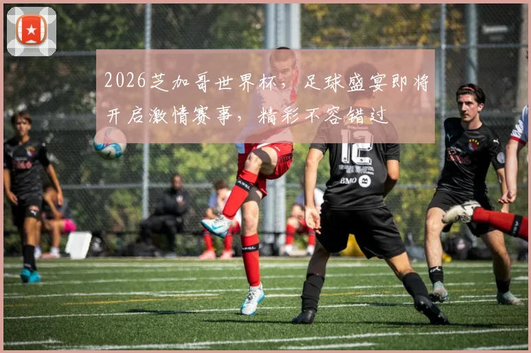 2026芝加哥世界杯，足球盛宴即将开启激情赛事，精彩不容错过