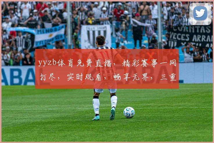 yyzb体育免费直播，精彩赛事一网打尽，实时观看，畅享无界，三重福利等你来